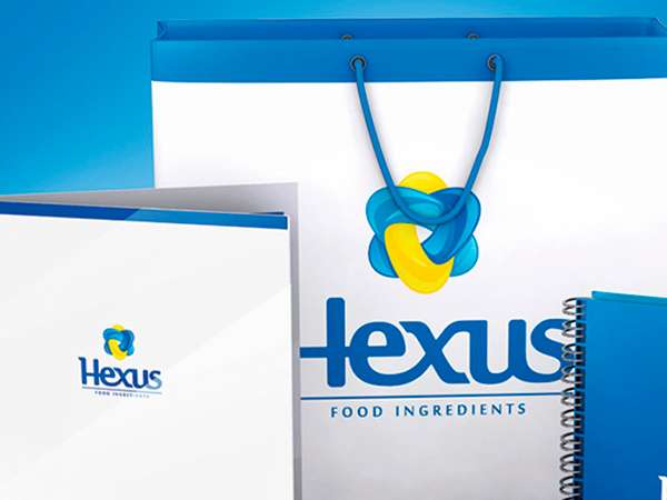 Identidade Visual | Hexus